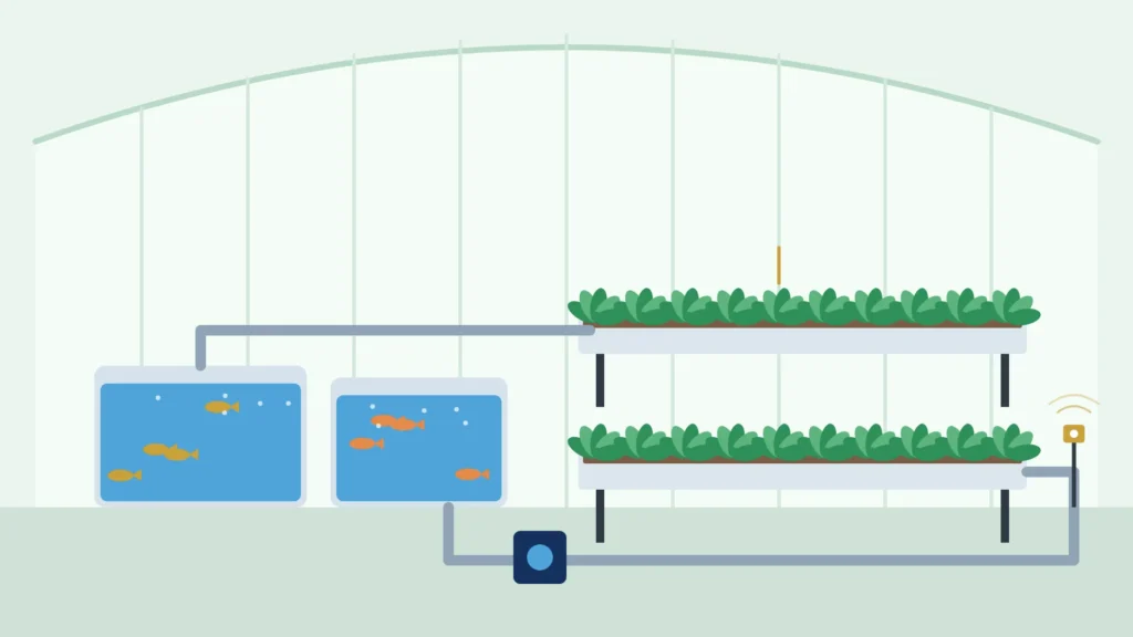 Ilustración de un invernadero con tanques de peces y camas de cultivo conectadas